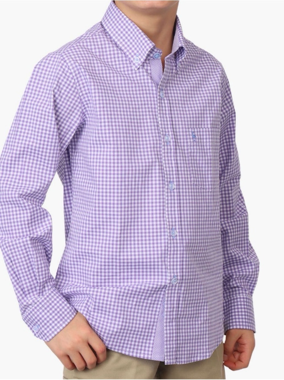Tailorbyrd Lavender Gingham Button-Down Shirt